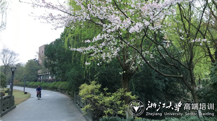 浙江大学新时代法治政府建设专题培训班