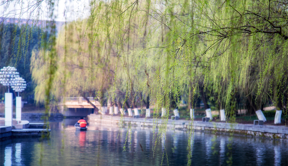 浙江大学的党政干部培训由哪个部门对接安排?