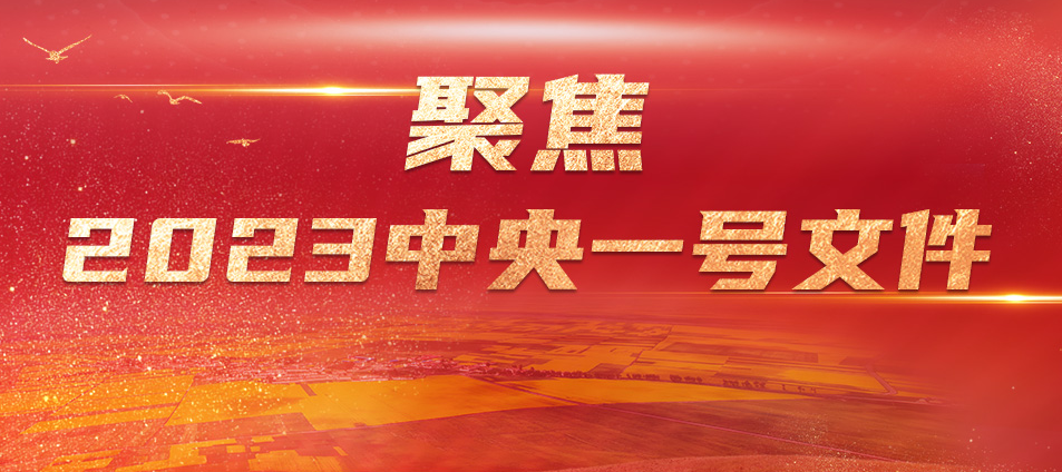 中央农办主任、农业农村部部长唐仁健解读2023年中央一号文件