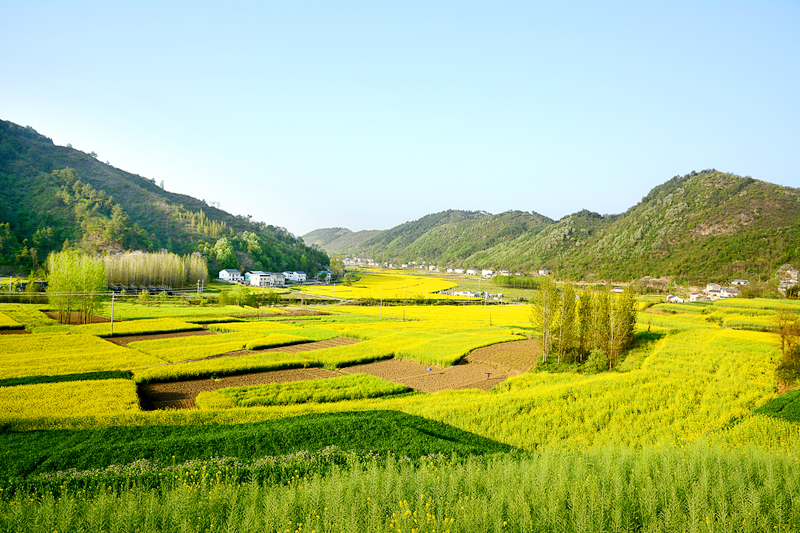 国家有关部门印发通知 进一步促进脱贫人口持续增收